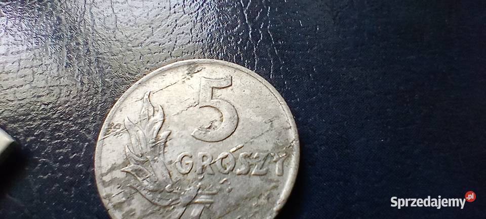 Stare monety 5 groszy 1949 PRL Polska destrukt Lesko