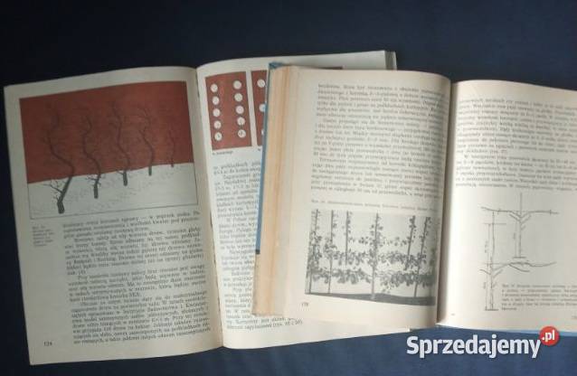 Drzewa karłowe Sadownictwo i Łódź