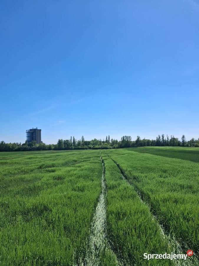 Prywatnie 1ha Opole Grudzice 4 do Centrum 9760m2 opolskie
