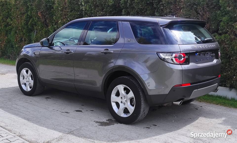 Discovery Sport Kielce