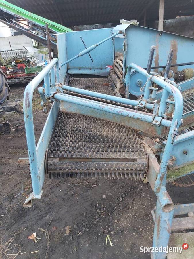 Kombajn Bolko posiada też przystawkę do cebuli dolnośląskie Nielubia