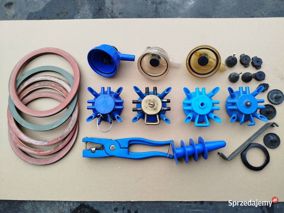 Kolektor kolczykownica poskrom Strzelno