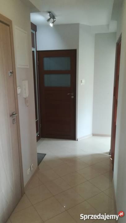 sprzedam świętokrzyskie