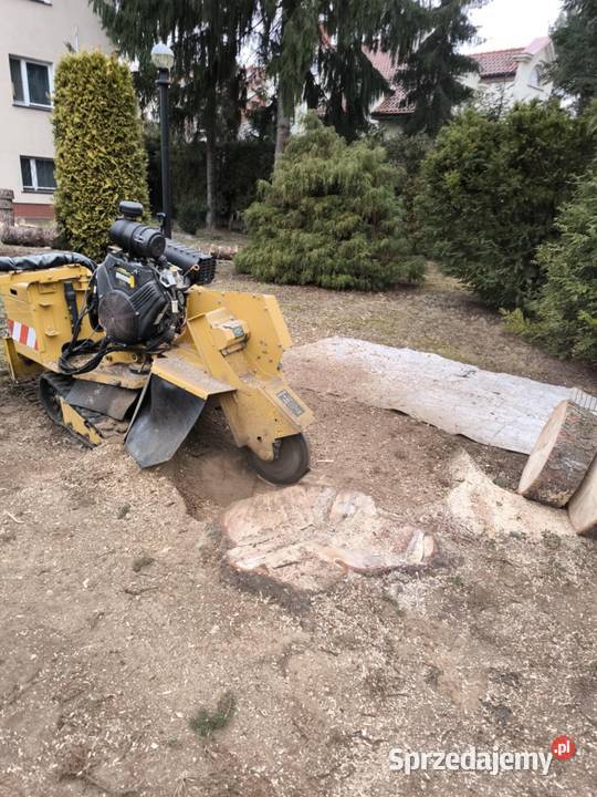 Frezowanie karczowanie usuwanie pni drzew Warszawa