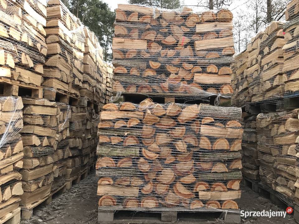 Suche Drewno Kominkowe Brzoza Warszawa Piaseczno