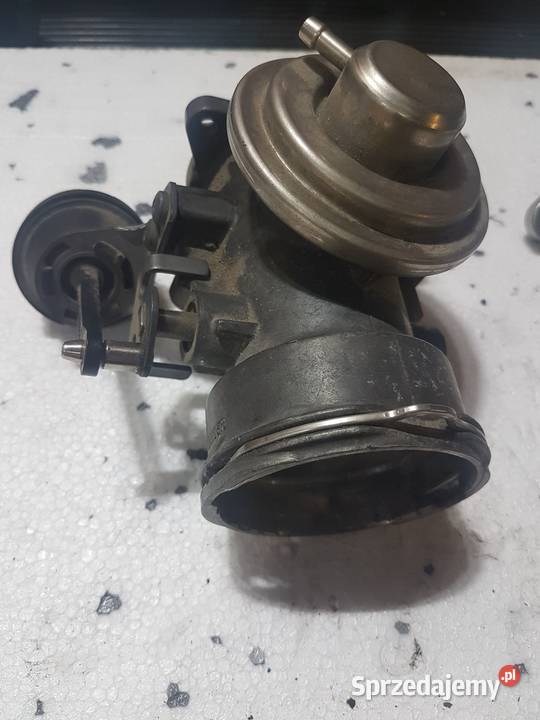 EGR Gaworzyce