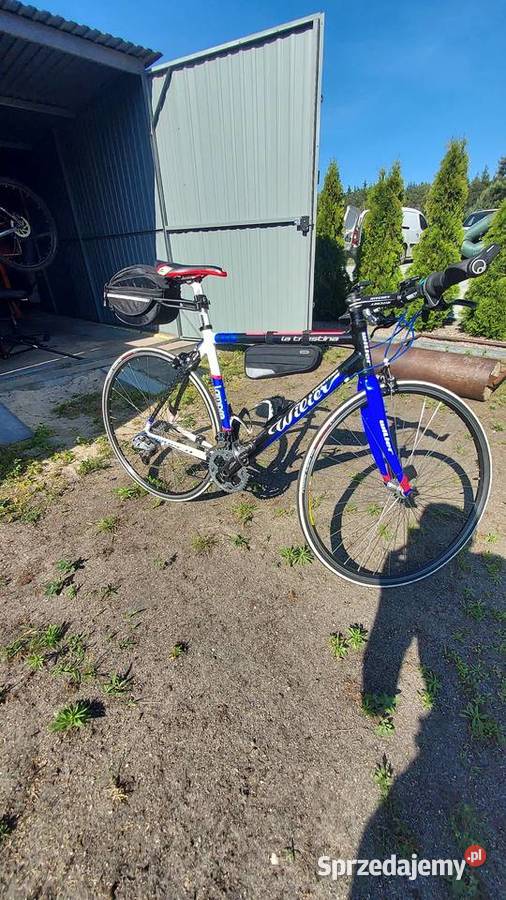 Willier La Triestina OKAZJA Szosowe Warząchewka Królewska sprzedam