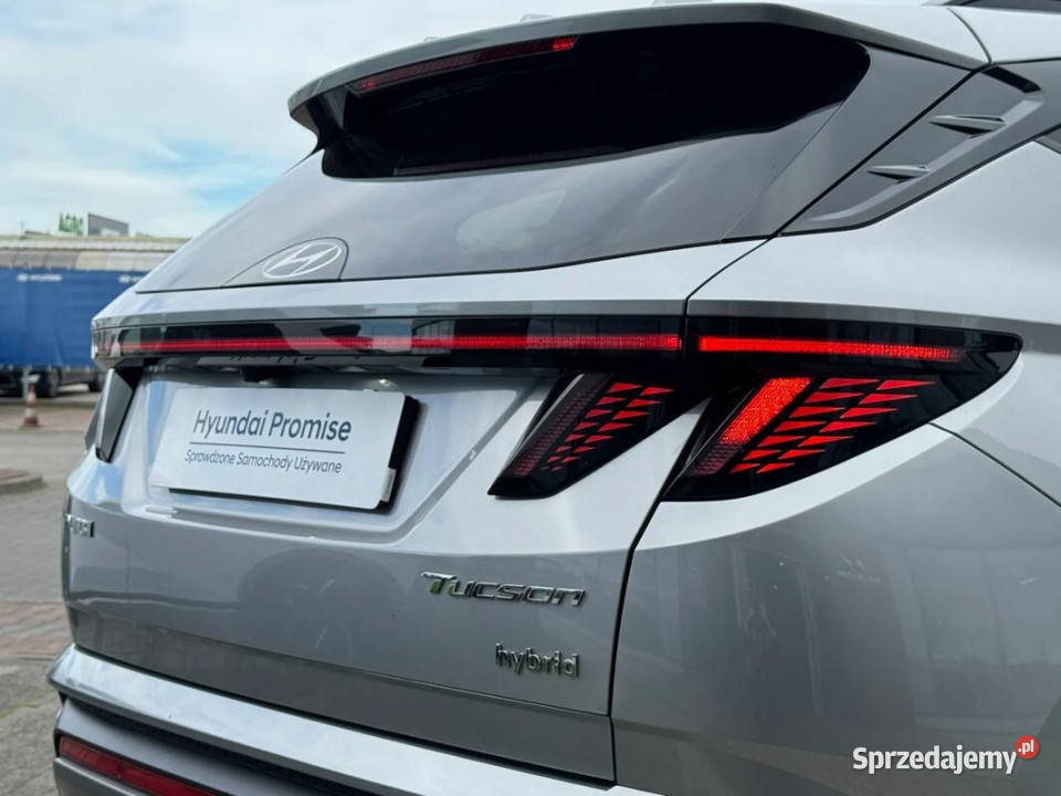 Salon polska autoryzowany dealer Nline wielkopolskie Kalisz