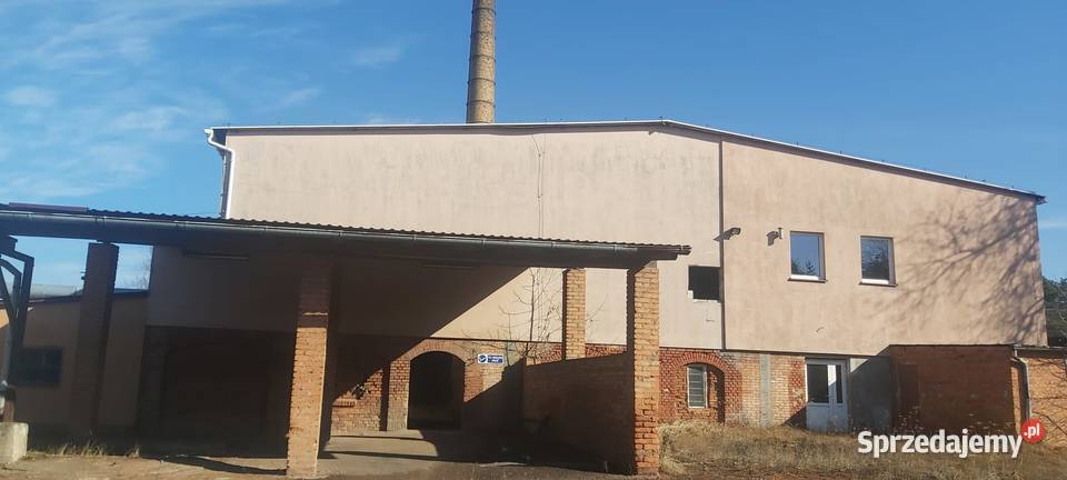 Zabudowa produkcyjno usługowo magazynowa wielkopolskie