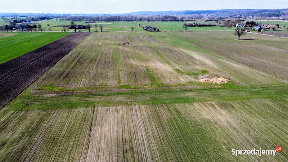 Grunt 449 ha z koncepcją 5 domów Jenin