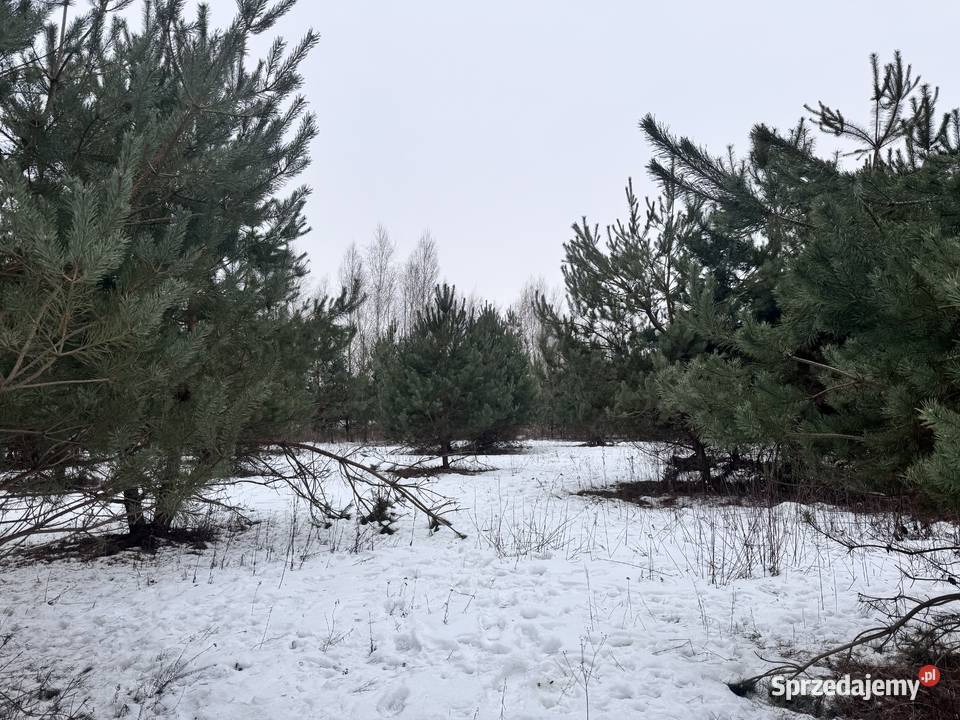 Działka budowlana 13 Piaseczna 30 Warszawy Uwieliny sprzedam