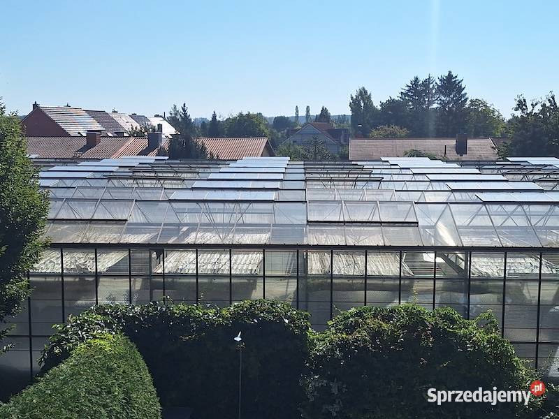 Szklarnia Venlo Krajnik Dolny