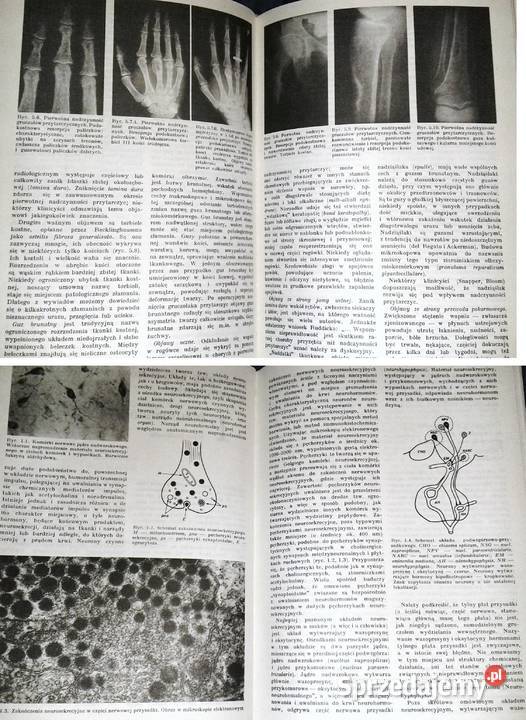 Nauka o chorobach wewnętrznych Tom 3 Witold lubelskie Chełm sprzedam