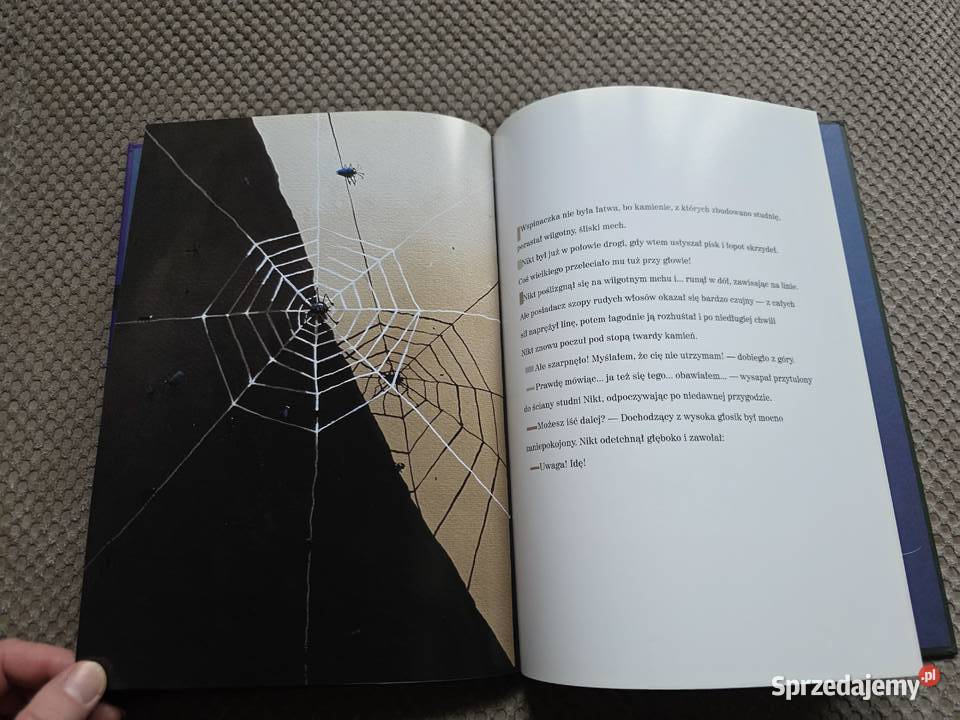 Małgorzata Strzałkowska Zielony i Nikt Kraków sprzedam