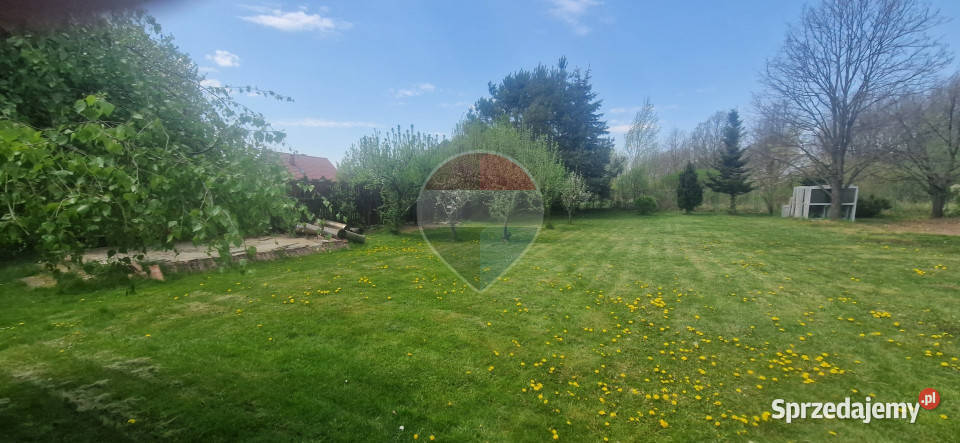 Działka Budowlana 1260m2 Starachowice Żytnia budowlana sprzedam