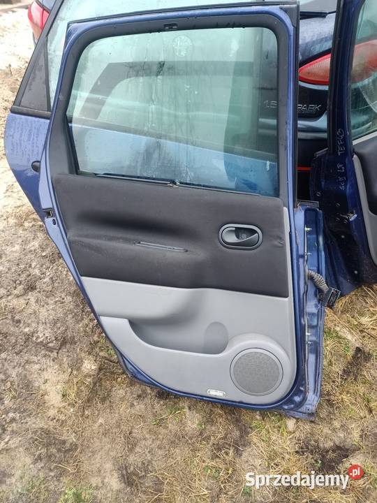 Drzwi lewy tył tylne renault scenic II 2 tef43 Szczecin