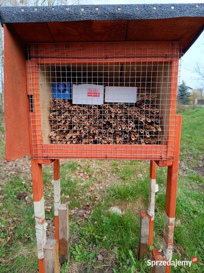 Murarka ogrodowa kokony Pozostałe łódzkie Szadek