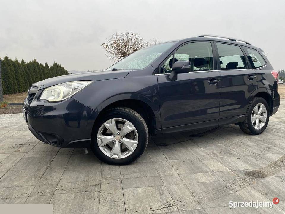 Subaru Forester 20D Platinum 20d 147 2014r Forester Grudziądz
