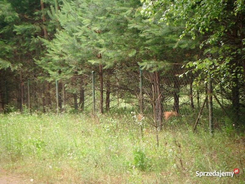 Działka Grunty i działki Winiec sprzedam