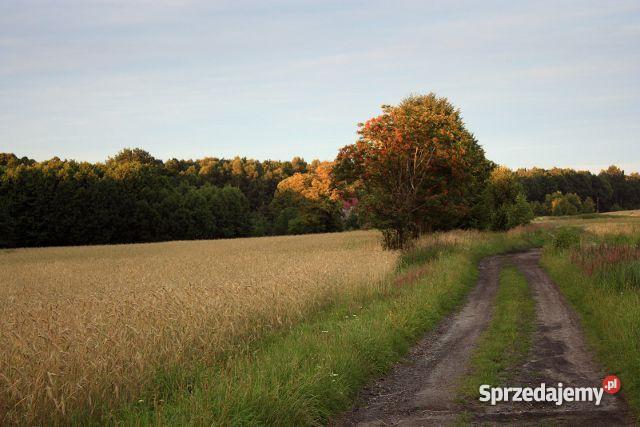 DZIAŁKI BUDOWLANE MIKOŁÓW ŚMIŁOWICE PROMOCYJNA polna Grunty i działki śląskie Mikołów
