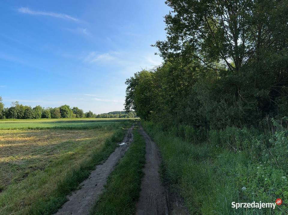 Działka z możliwością zabudowy