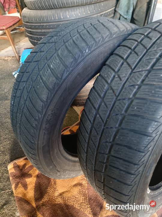 Opony Polaris baum zimowe 205 55 16