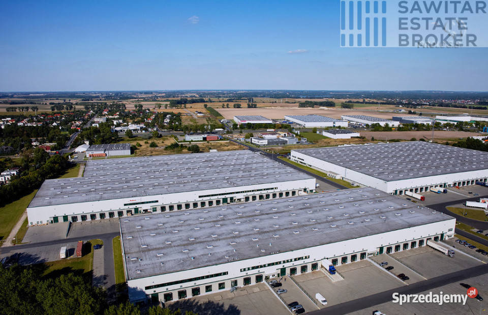 Hala klasy A 2564m2350m2 biursocjalbez prowizji Sady