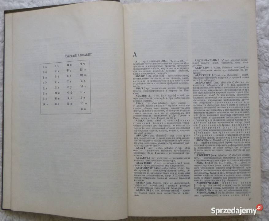 Rosyjski słownik wyrazów obcych twarda Warszawa sprzedam