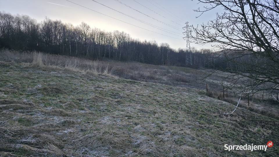 Dom ze Stodołą i Stajną 190 ha mieszkalny