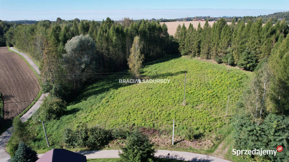 Grunt Poręba Żegoty 8900m2 sprzedam