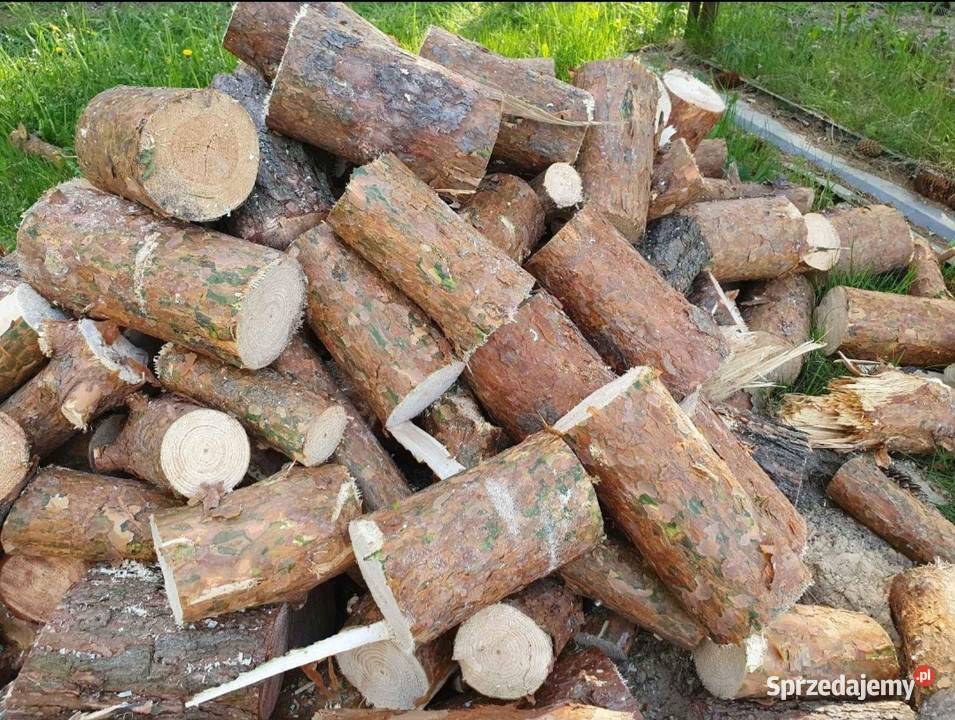 Drewno opalowe Sosna przedziabane mazowieckie Pionki