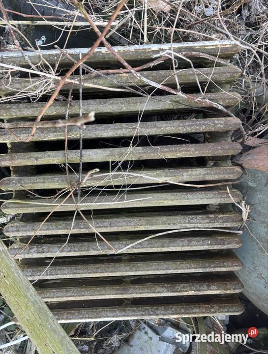 Stary żeliwny grzejnik Ząbkowice Śląskie