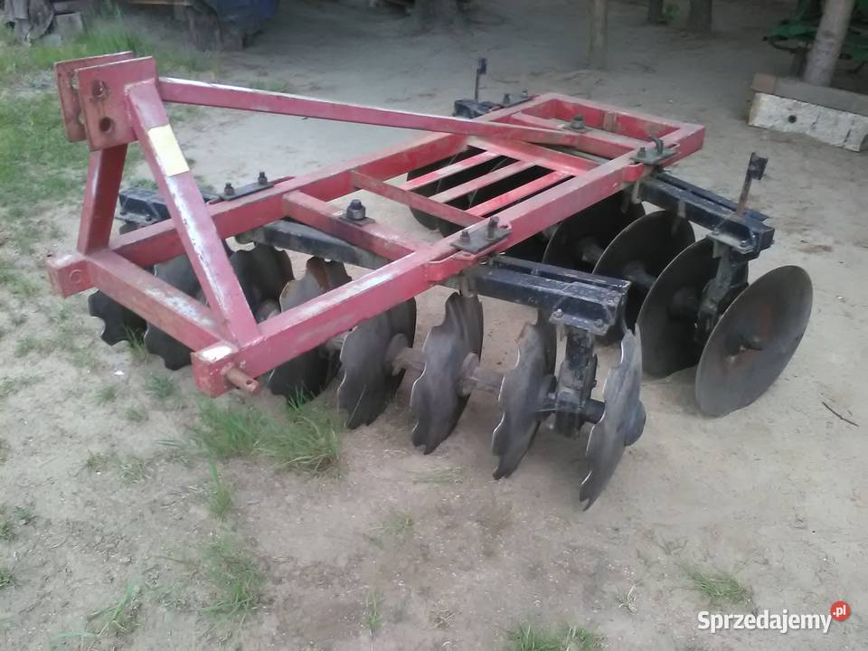 Talerzówka mazowieckie Skorosze sprzedam