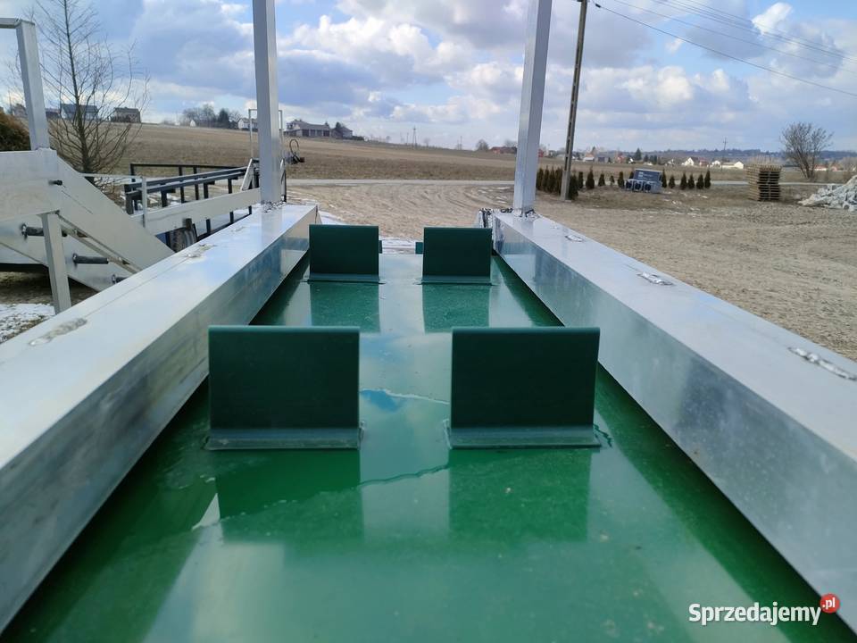 Taśmociąg Podajnik Transporter do zbioru warzyw lubelskie Ewunin