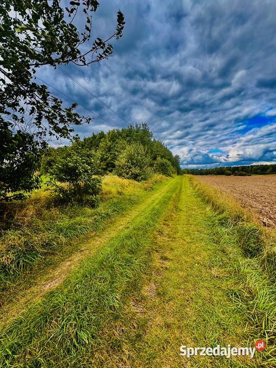 Drygały piękna działka 14 ha w otoczeniu lasów i Sprzedaż