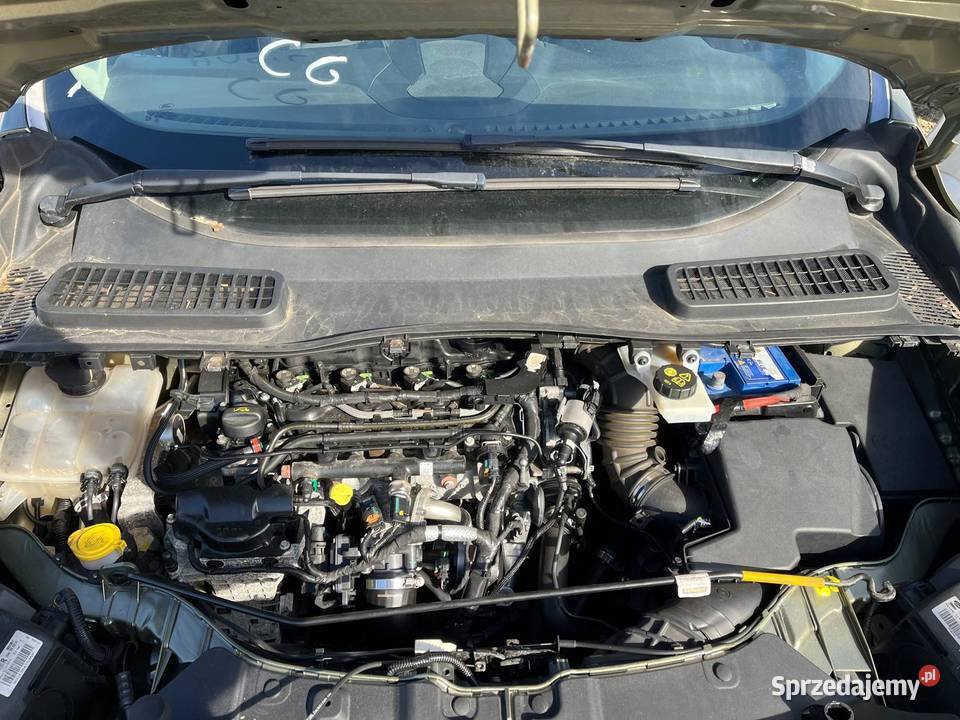 FORD Kuga 20 TDCi 150 42 DT036 uszkodzony Kuga dolnośląskie Wrocław