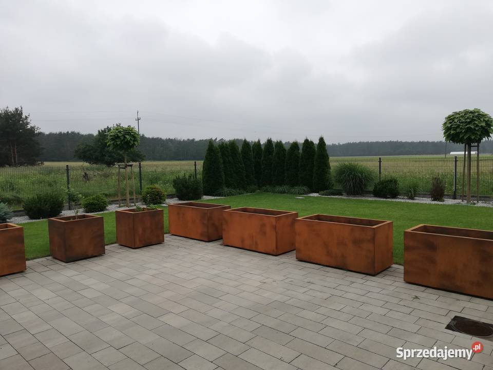 DONICE MROZOODPORNE opolskie Łosiów