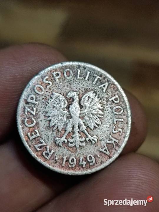 sprzedam monete 50 gr 1949 bez znaku mennicy Chełm