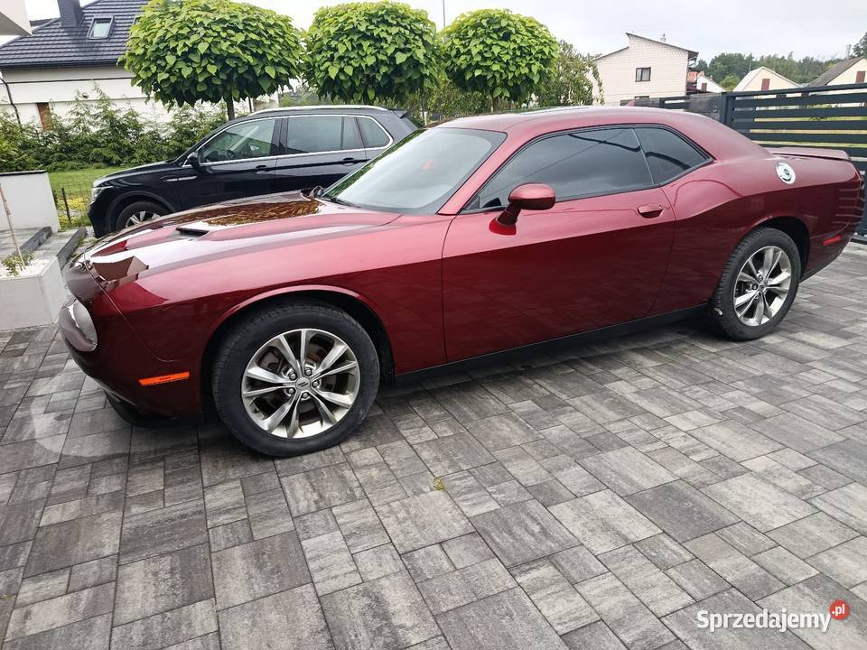 Dodge challenger sxt 36 2020 Nowa Dęba