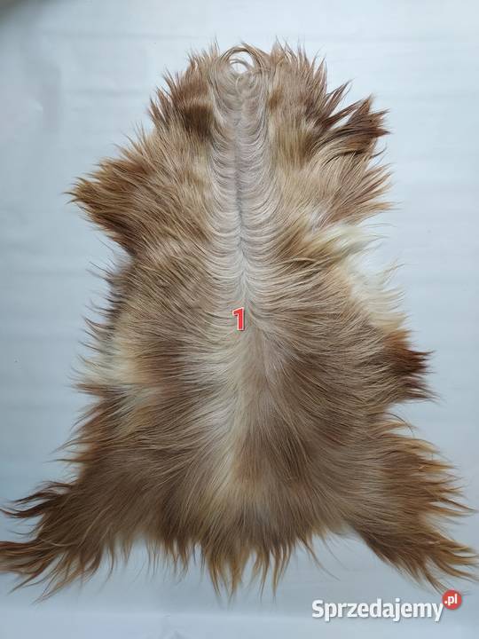 Skóra z Kozy XXL Dekoracyjna Naturalna Skóry Szaflary sprzedam