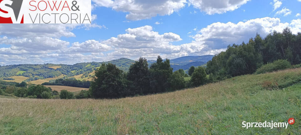 Widokowe słoneczne działki w Niedźwiedzicy