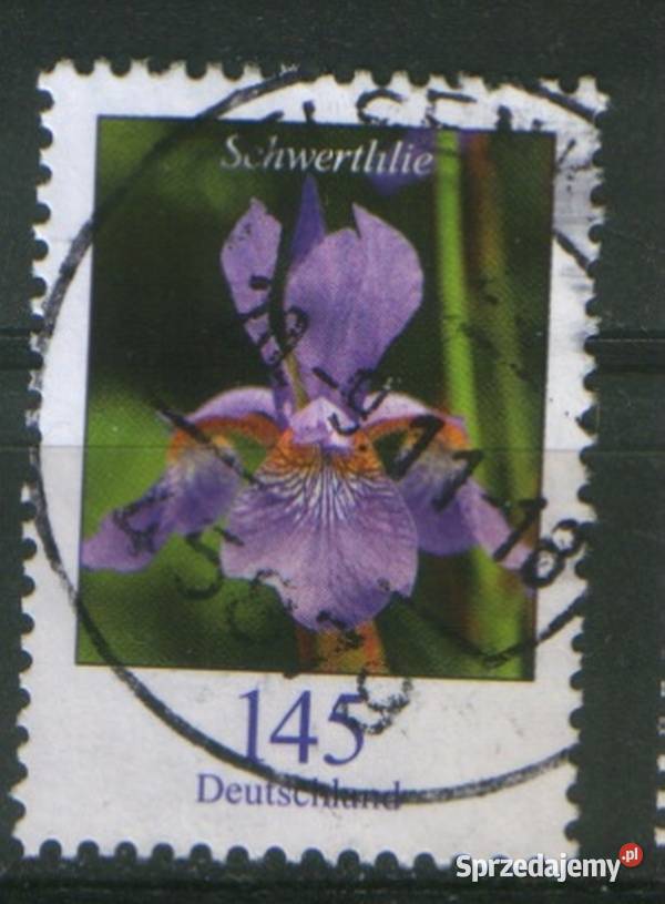 Zn RFN wykaz w opisie kas 2006