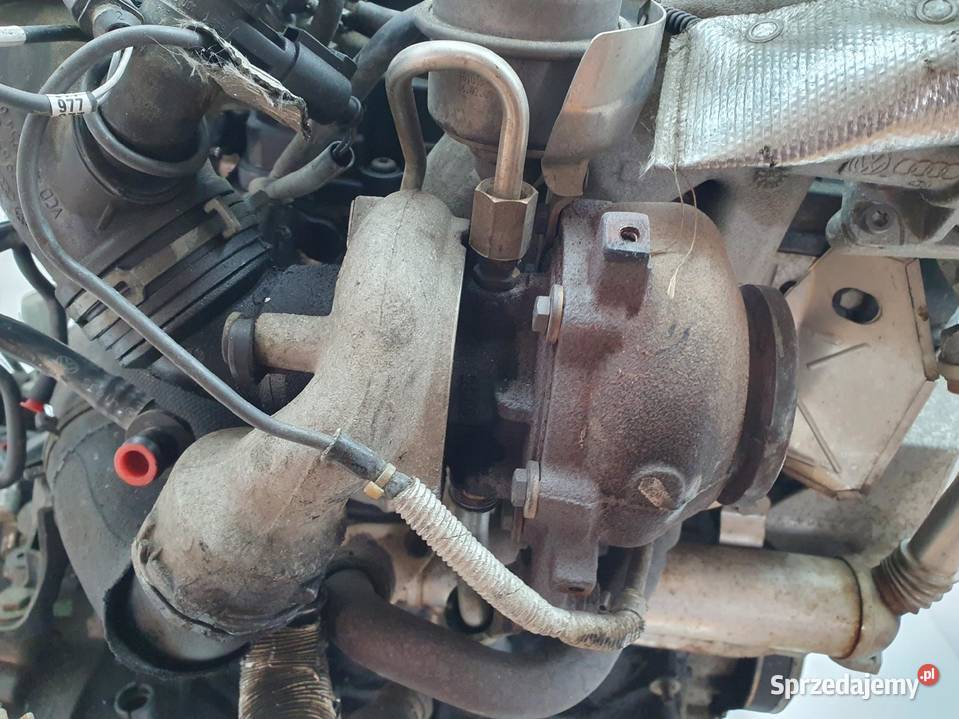 SILNIK KOMPLET Skoda Roomster 14 TDI 80 132 osobowe Rudka