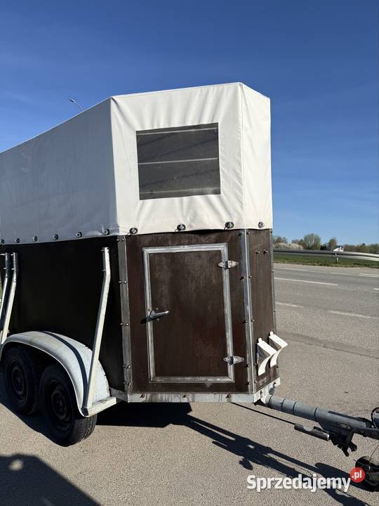 Boeckmann 1 konna przyczepa Solnica