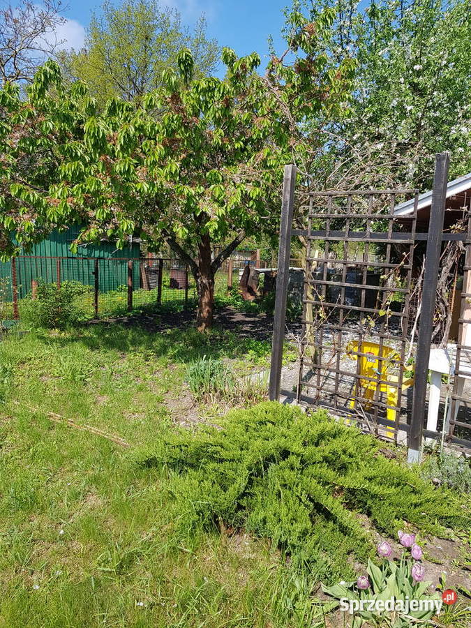 Działka ogrodowa Stargard