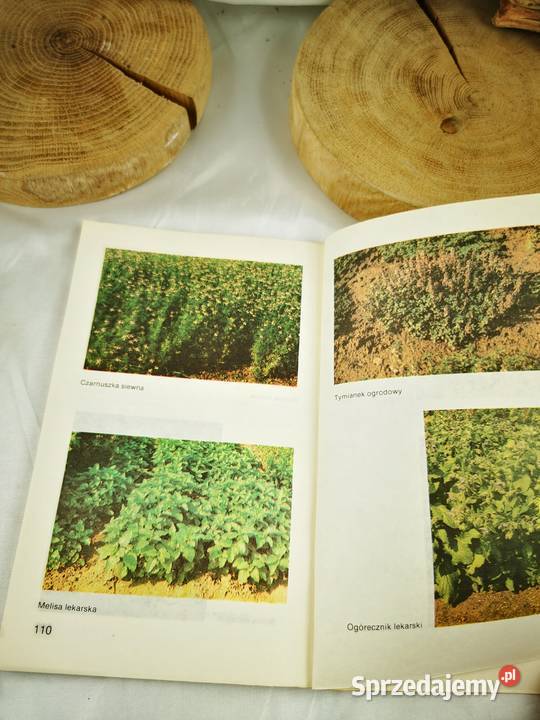 Ziołowe przyprawy kuchenne zdrowie, pierwsza pomoc Poradniki, albumy i reportaże małopolskie Wiśniowa