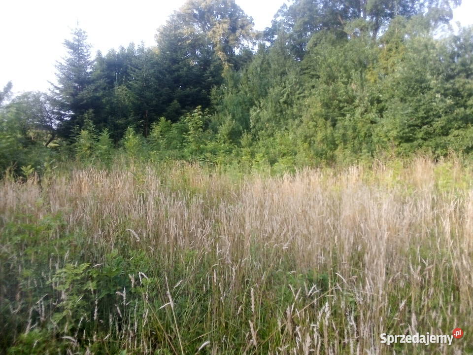 Działka w Barłominie k Luzina