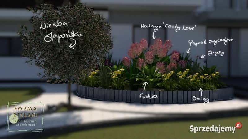 Projektowanie ogrodów Banino