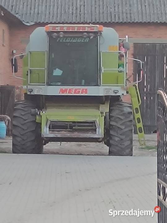 Sprzedam Jastrzębniki