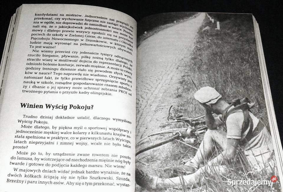 Cnoty i błędy Witold Duński Chełm sprzedam